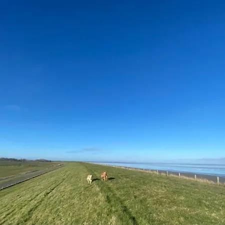 Traumlage Nr71 Zweite Reihe Direkt Am Wattenmeer Erste Reihe Unendliche Weite, Eingebettet In Der Holiday home *