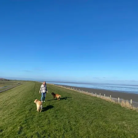 Vakantiehuis Traumlage Nr71 Zweite Reihe Direkt Am Wattenmeer Erste Reihe Unendliche Weite, Eingebettet In Der Westerland