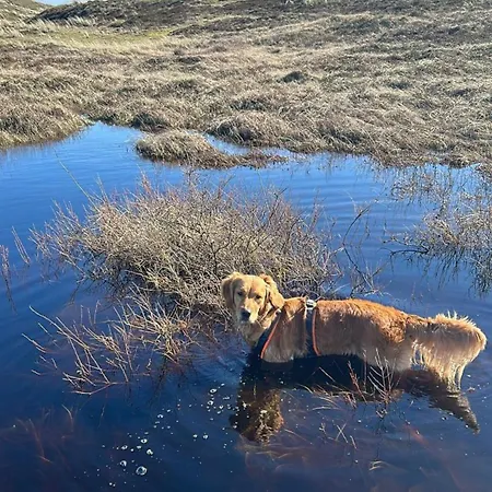 Traumlage Nr71 Zweite Reihe Direkt Am Wattenmeer Erste Reihe Unendliche Weite, Eingebettet In Der Vakantiehuis